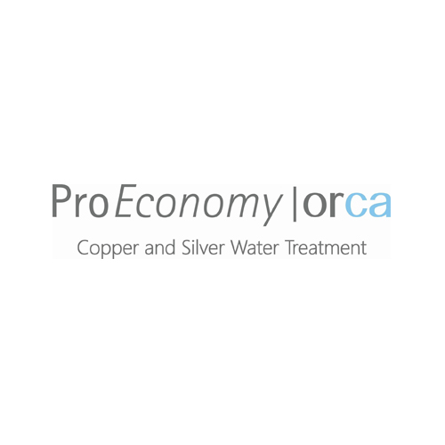 ProEconomy logo