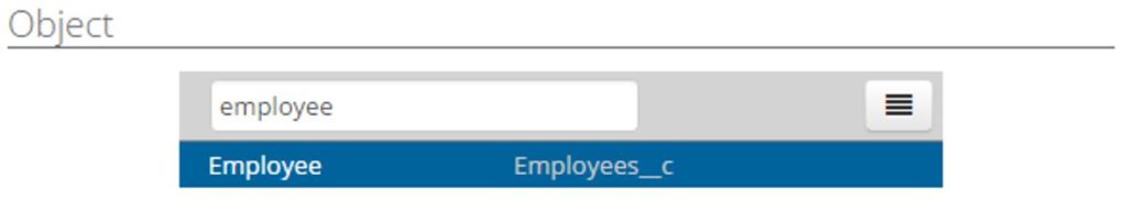 employee details salesforce records